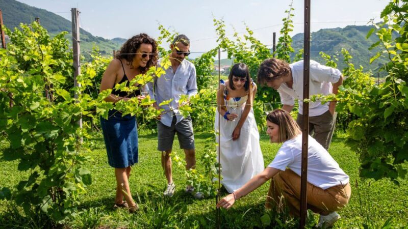 Valdobbiadene:Prosecco Tasting,Appetizers,Winery & Vineyard - The Prosecco Wines of Valdobbiadene