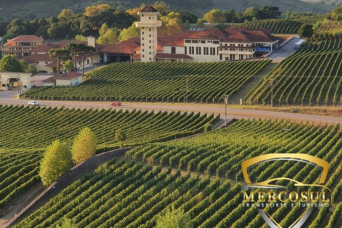 Vale Dos Vinhedos: Private Group Tour From Porto Alegre - Key Points