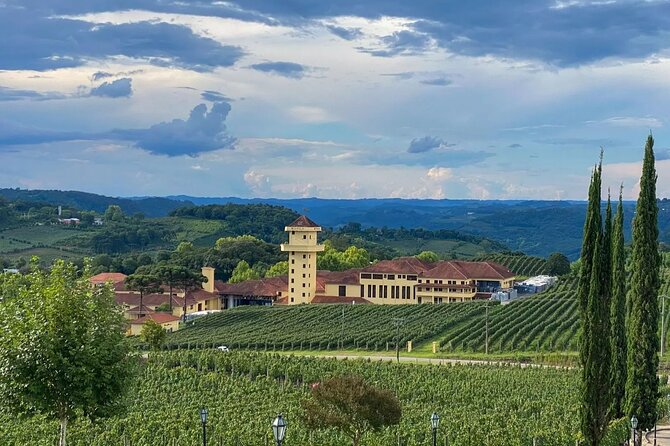 Vale Dos Vinhedos Private Tour From Porto Alegre or Gramado - Key Points