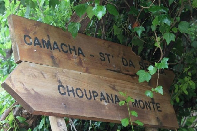 Vale Paraiso - Rochão (Half Day Walk) - Inclusions and Pickup Details