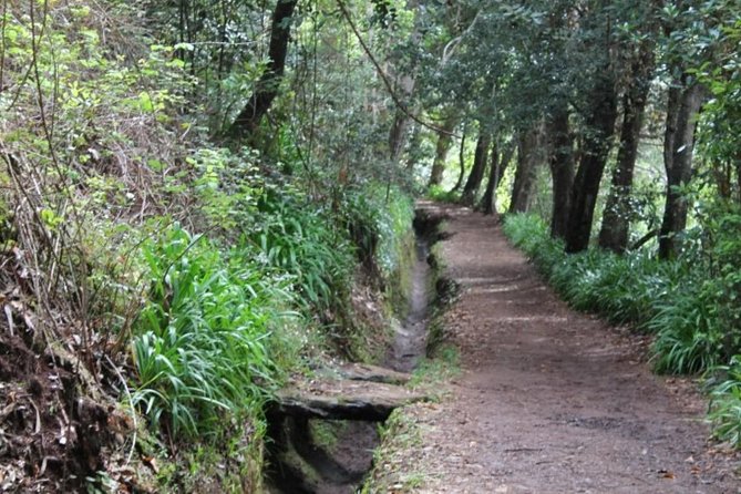 Vale Paraiso - Rochão (Half Day Walk) - Accessibility and Participation