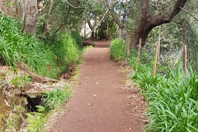 Vale Paraiso - Rochão (Half Day Walk) - Exploring the Route