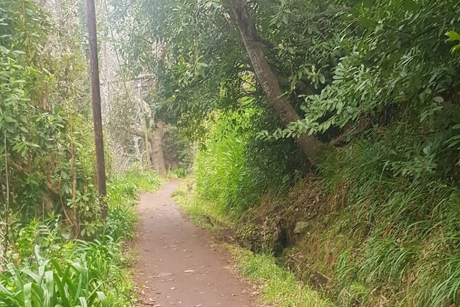 Vale Paraiso - Rochão (Half Day Walk) - Frequently Asked Questions