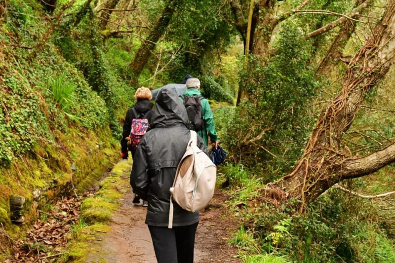 Vale Paraíso Rock Madeira Island Walk - Itinerary and Experience