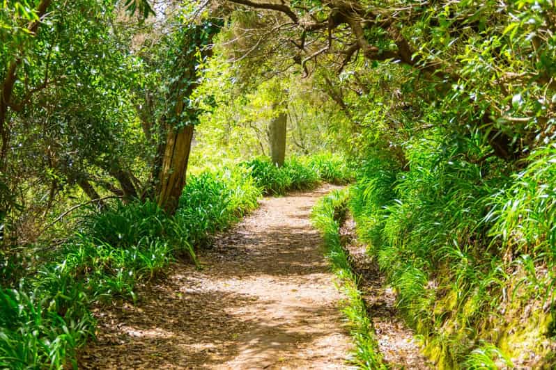Vale Paraíso Rock Madeira Island Walk - Highlights and Features