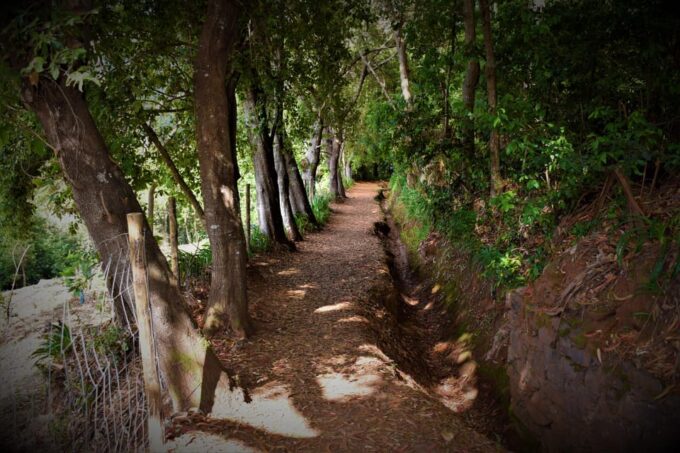 Vale Paraíso Rock Madeira Island Walk - Frequently Asked Questions
