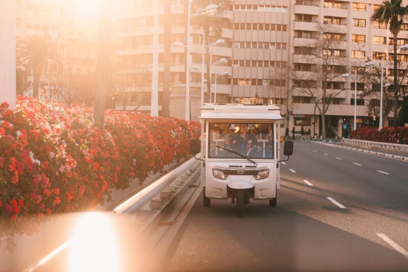 Valencia 1 Hour by Tuktuki: Essential and Private Tour - Exploring Valencia by Tuk-Tuk