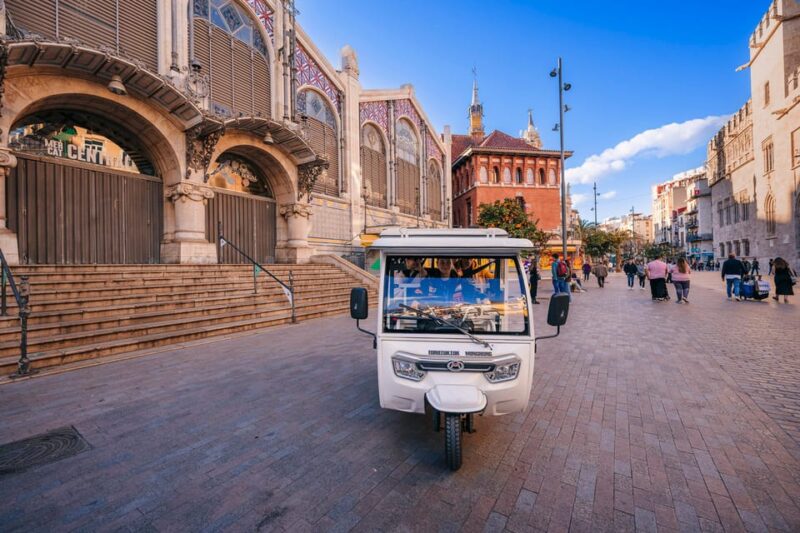 Valencia 1 Hour by Tuktuki: Essential and Private Tour - Key Attractions Visited