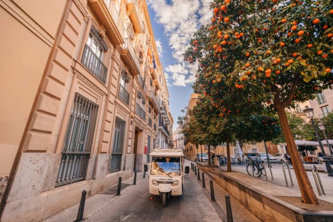 Valencia 1 Hour by Tuktuki: Essential and Private Tour - Customer Feedback and Ratings