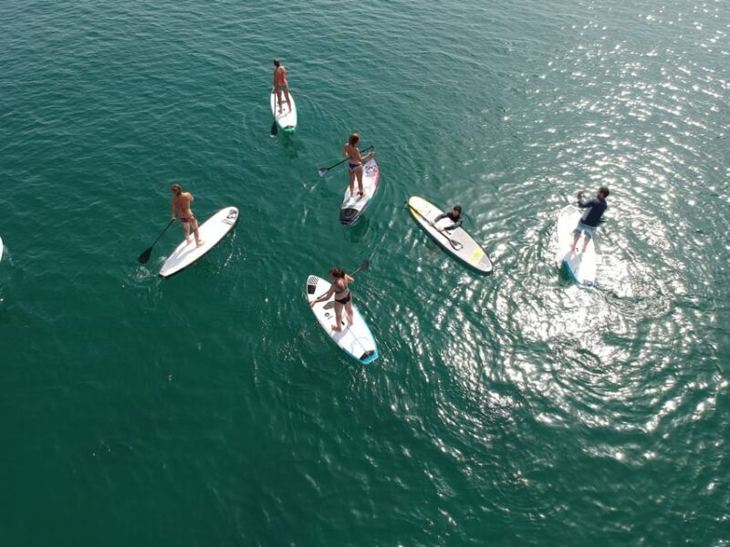 Valencia: 1 Hour Stand Up Paddle Board Lesson - Customer Feedback