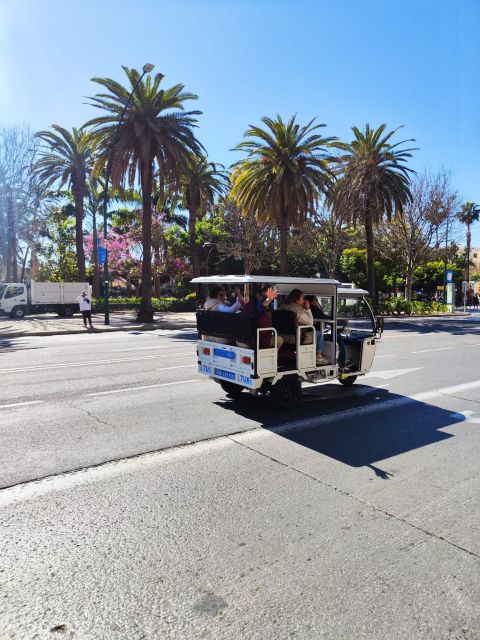 Valencia: 2-hour City Highlights Guided Tuk-Tuk Tour - Getting to the Meeting Point