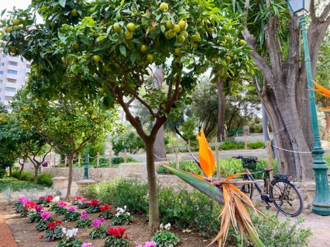 Valencia: 2-in-1 Biking and Walking Audio-Guided Route - Frequently Asked Questions
