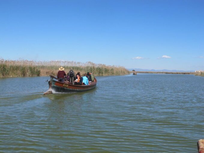 Valencia: 48-Hour Hop-On-Hop-Off Bus & Albufera Bus Tour - Additional Information
