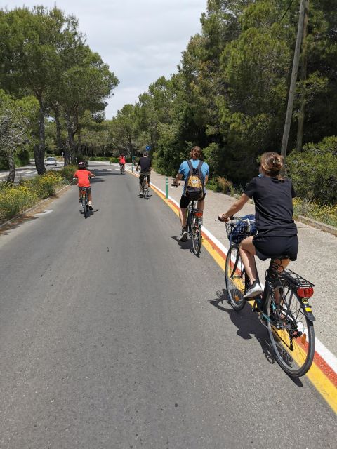 Valencia: Albufera Natural Park Bike and Boat Tour - Included Amenities