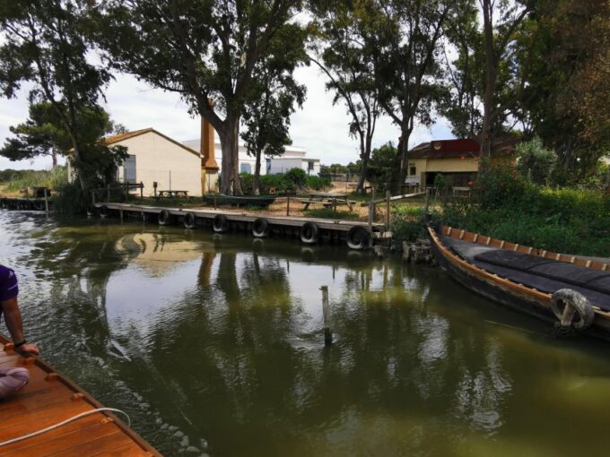 Valencia: Albufera Natural Park Bike and Boat Tour - Customer Reviews