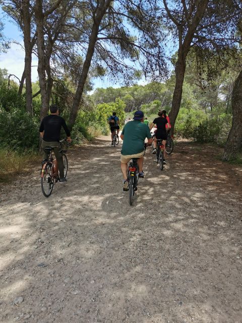 Valencia: Albufera Natural Park Bike and Boat Tour - Booking Details