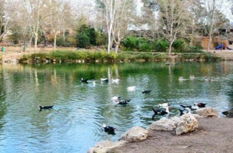 Valencia: Anna Alhambra and 3 Waterfalls Guided Tour - Frequently Asked Questions