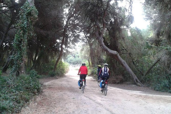Valencia Bike or Segway Tour - Inclusions and Pickup