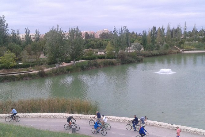 Valencia Bike or Segway Tour - Admiring the Marina