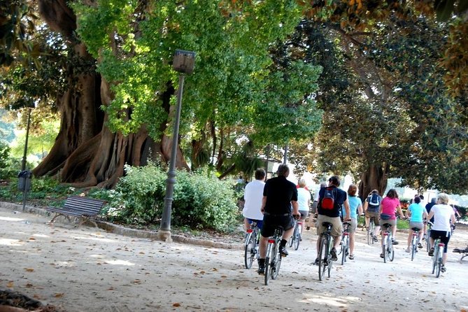 Valencia Bike or Segway Tour - Discovering Cabecera Park