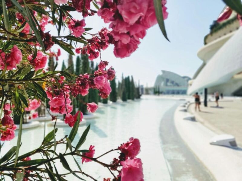 Valencia: Bike Tour: From the City Center to Maritim Towns - Booking Information