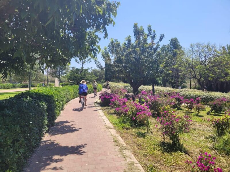 Valencia, Bike Tour of the Entire City With a Local Guide - Inclusions