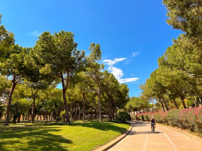 Valencia Bike Tours: City Highlights - Customer Reviews and Ratings