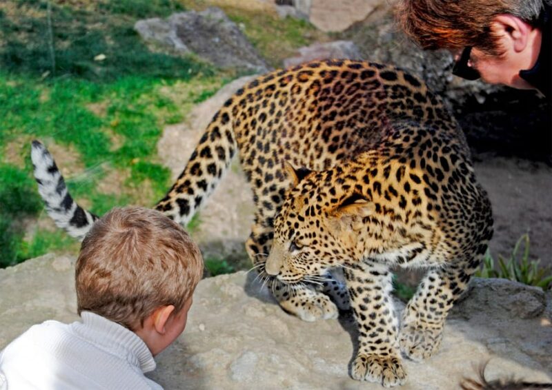Valencia: Bioparc Valencia Admission Ticket - Preparing for Your Visit