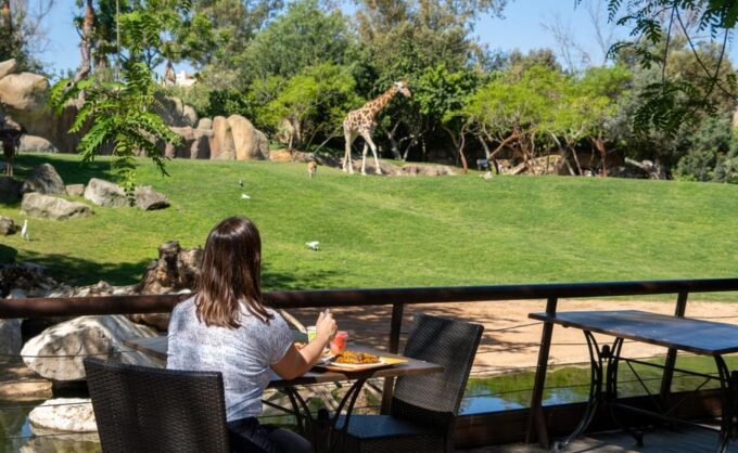 Valencia: Bioparc Valencia Admission Ticket - Accessibility and Re-entry Policy