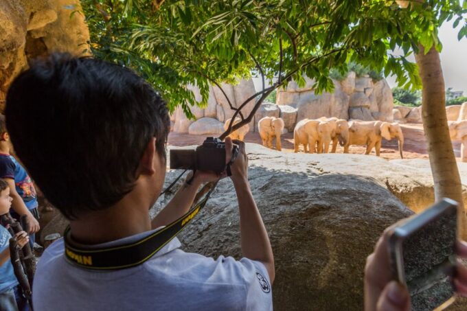 Valencia: Bioparc Valencia Admission Ticket - Meticulously Recreated Habitats