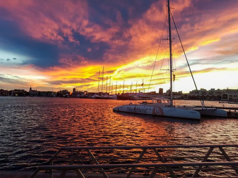 Valencia: Catamaran Cruise With Sunset Option - Important Information and Accessibility