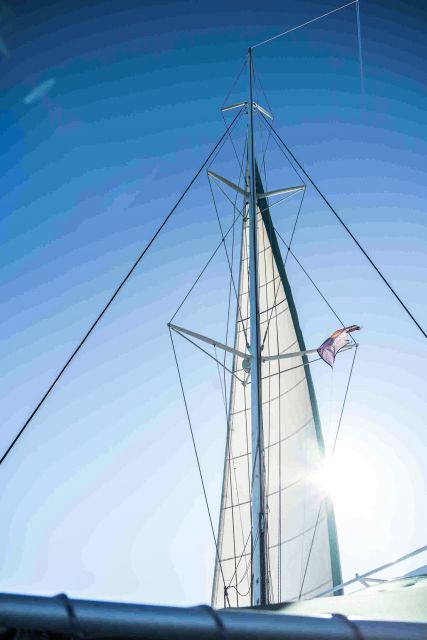 Valencia: Catamaran Cruise With Swimming & Optional DJ - Coastal Sightseeing