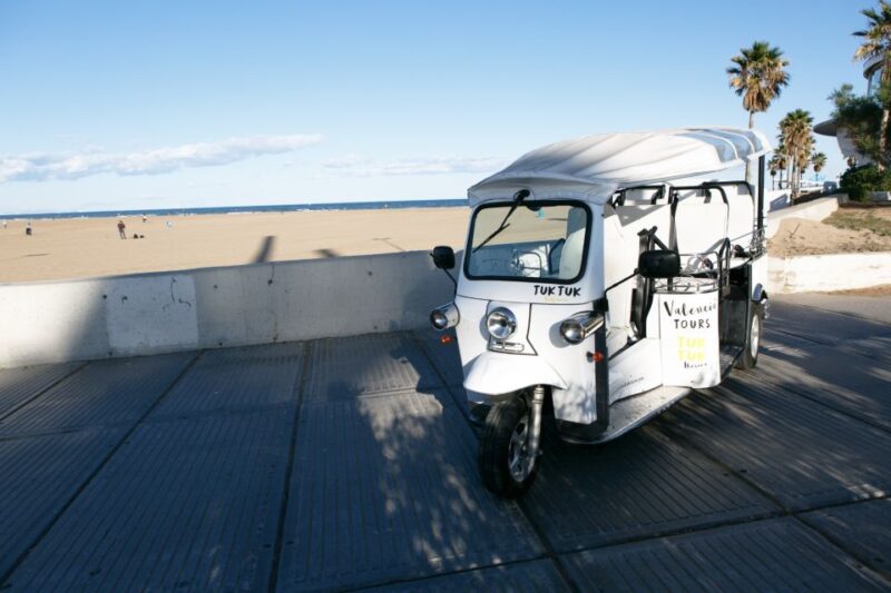 Valencia: Complete Tuk-Tuk Tour Around the City - Language and Guide Options