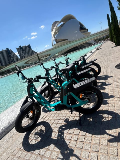 Valencia: Discover City Highlights on a Premium E-Bike - Tranquil Turia Gardens