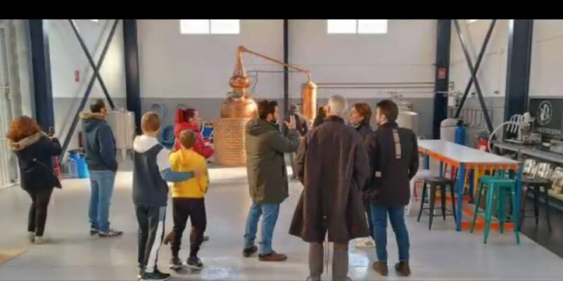 Valencia: Distillery Visit and Gin Tasting in Benifla - Accessibility and Languages