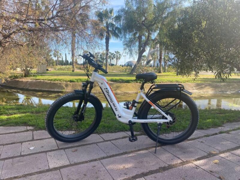 Valencia E-Bike Self-Guided Tour: Ride. Discover. Enjoy. - Customer Reviews
