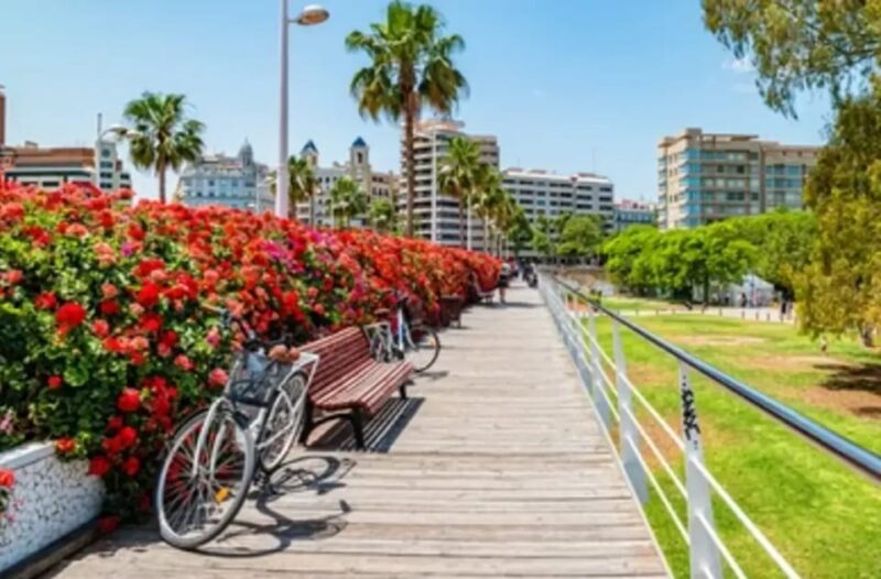 Valencia: Family Bike Tour; Walk Through Turia Gardens. - Itinerary and Highlights