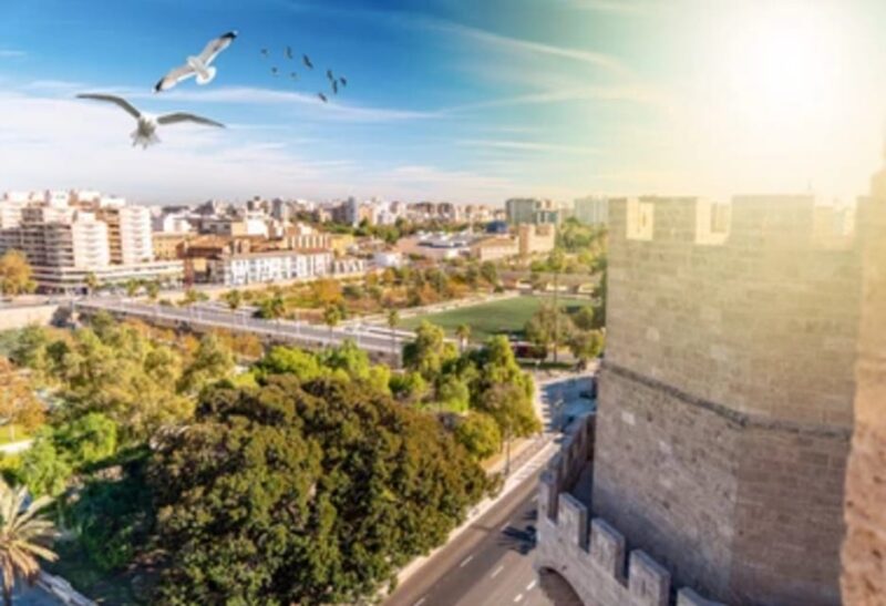 Valencia: Family Bike Tour; Walk Through Turia Gardens. - Safety and Accessibility