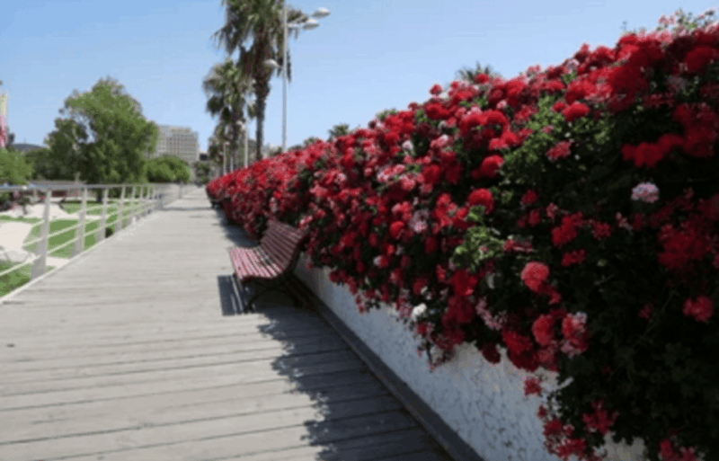 Valencia: Family Bike Tour; Walk Through Turia Gardens. - Included Equipment and Dress Code