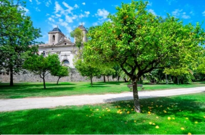 Valencia: Family Bike Tour; Walk Through Turia Gardens. - Available Languages and Ratings
