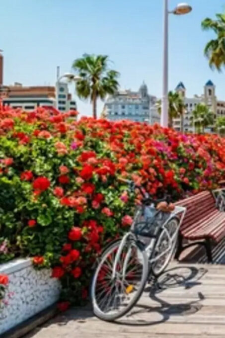 Valencia: Family Bike Tour; Walk Through Turia Gardens. - Sustainability and Responsible Tourism