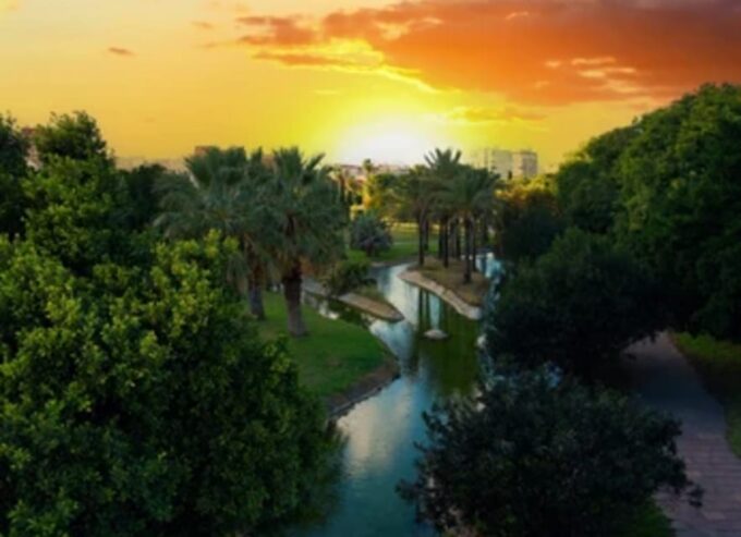 Valencia: Family Bike Tour; Walk Through Turia Gardens. - Booking and Cancellation Policy