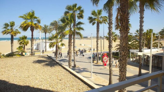 Valencia: Fantastic Segway Tour From the Center to the Beach - Reaching Valencia Port