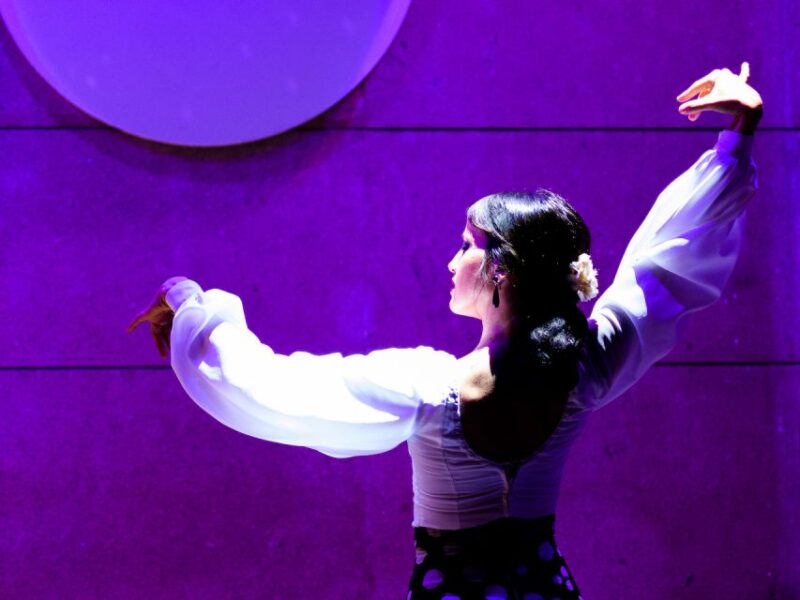 Valencia: Flamenco Show at La Linterna With Drink - Flamenco Performance Highlights