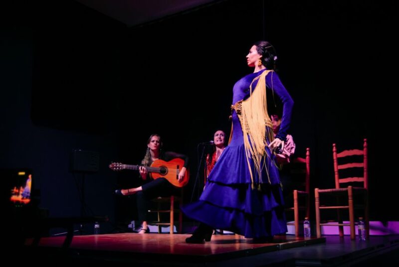 Valencia: Flamenco Show Tablao La Reina - Intimate Performance Atmosphere