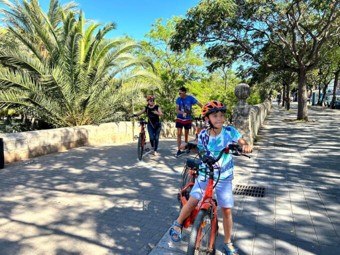 Valencia: Guided City Sightseeing Tour by Bike or E-Bike - Iconic Landmarks Exploration