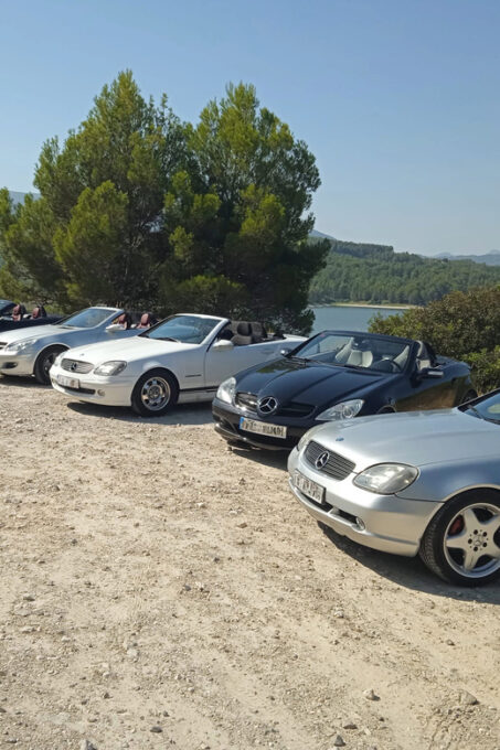 Valencia: Guided Tour in Convertible - Additional Services and Restrictions