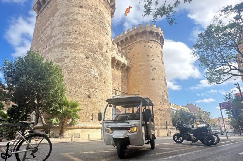 Valencia: Historical Tour by Tuk Tuk 1H - Discovering the Iconic Landmarks