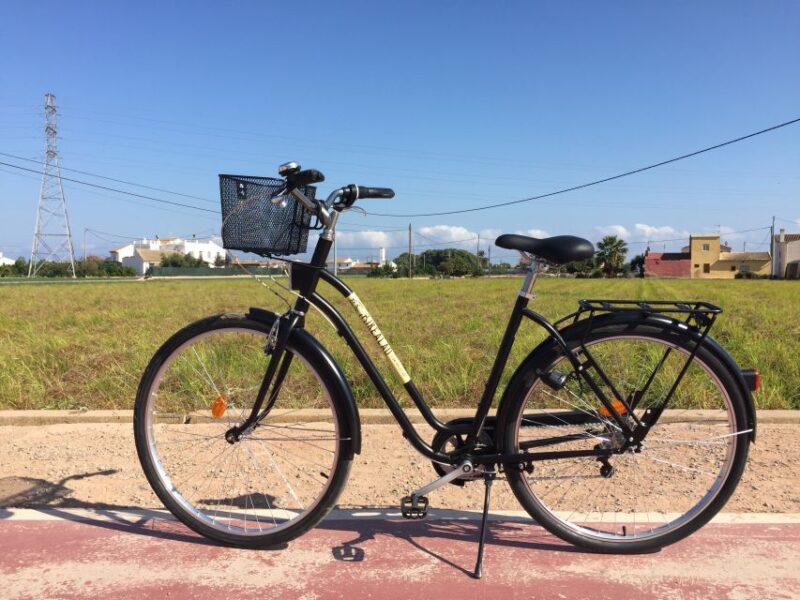 Valencia: Horchata Bike Tour - Tour Highlights