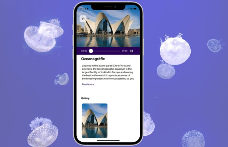 Valencia: Iconic City Attractions Self-Guided Audio Tours - Audio Guide Features